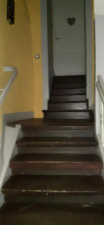 La Cigogne Blanche Appartement Colmar Buitenkant foto